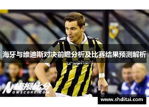 海牙与维迪斯对决前瞻分析及比赛结果预测解析